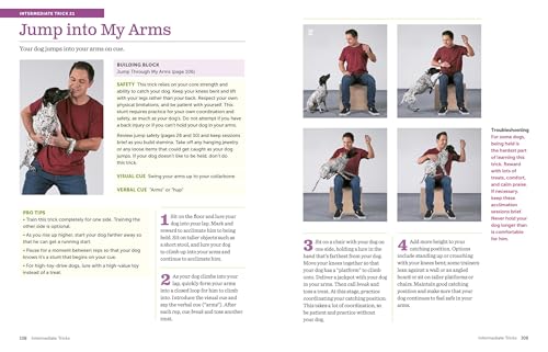 The Big Book of Tricks for the Best Dog Ever: A Step-by-Step Guide to 118 Amazing Tricks and Stunts