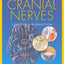 Cranial Nerves: Function and Dysfunction by Wilson-Pauwels,