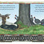 Honey... Honey... Lion! A Story from Africa (Rise and Shine)