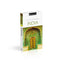 DK Eyewitness India (Travel Guide)