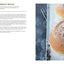 Ready, Set, Dough!: Beginner Breads for All Occasions