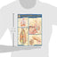 Respiratory System (Quick Study: Academic)