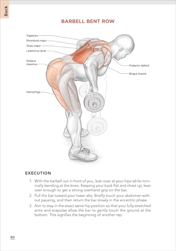 Bodybuilding Anatomy
