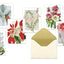 Winter Botanicals: Note Cards and Envelopes: Set of 12 (New York Botanical Garden)