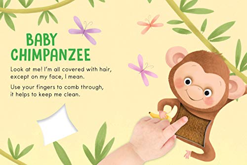 Baby Animals: A Touch and Feel Book - Childrens Board Book - Educational