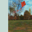 The Boy, The Kite, and the Wind