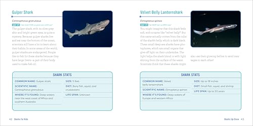 Sharks for Kids: A Junior Scientist's Guide to Great Whites, Hammerheads, and Other Sharks in the Sea
