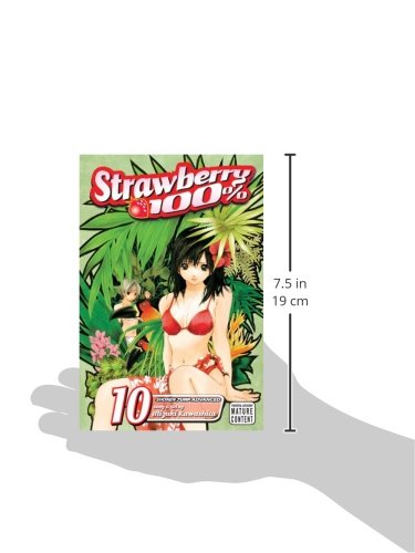 Strawberry 100%, Vol. 10 (10)