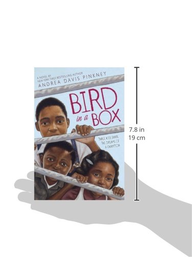 Bird in a Box