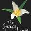 The Space of Love (The Ringing Cedars, Book 3) by Megre, Vla