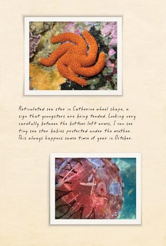 Amphibious Soul: Finding the Wild in a Tame World-A Memoir of Nature's Healing Power
