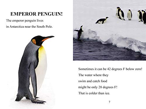 Polar Pals: Level 2 (I Can Read! / Made By God)