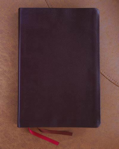 NIV, Thinline Bible, Giant Print, Bonded Leather, Burgundy, Red Letter, Thumb Indexed, Comfort Print