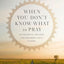 When You Don't Know What to Pray: 100 Essential Prayers for Enduring Life's Storms