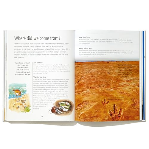 A Really Short History of Nearly Everything by Bryson, Bill