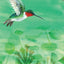 Migration: Incredible Animal Journeys