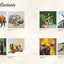 National Parks of North America Amazing Animals Sticker Painting Book: 12 Super Fun Paintings (Design Originals) Bison, Bear, Humpback Whale, Moose, Puffin, and More, with Up to 80 Stickers per Design