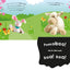 Crunch! Munch! Bunny (Super Noisy Books)