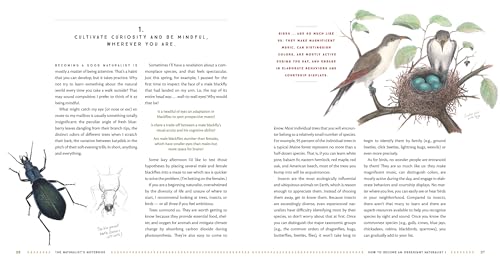 The Naturalist's Notebook: An Observation Guide and 5-Year Calendar-Journal for Tracking Changes in the Natural World around You