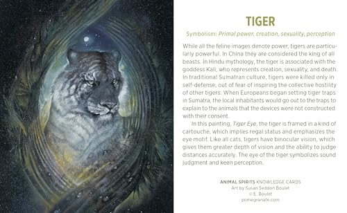 Animal Spirits Knowledge Cards: Paintings by Susan Seddon B