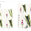 The Beginner's Guide to Chinese Painting: Birds and Insects