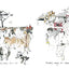 Drawn Across Borders: True Stories of Human Migration