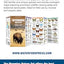 Wyoming Nature Set: Field Guides to Wildlife, Birds, Trees & Wildflowers of Wyoming (Nature Observation North America)