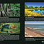 50 States 500 State Parks