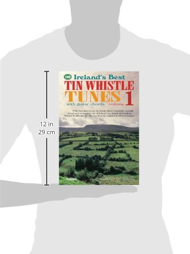 Ireland's Best Tin Whistle Tunes