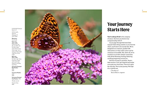 Birds & Blooms Everyday Nature Secrets: Discover the Hidden World in Your Backyard