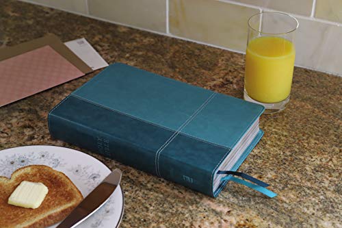 NIV, Personal Size Reference Bible, Large Print, Leathersoft, Teal, Red Letter, Comfort Print