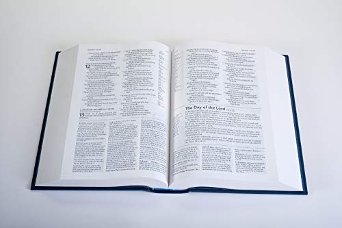 NLT Study Bible (Hardcover Cloth, Blue, Red Letter)