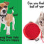 Puppies & Kitties - Touch and Feel Board Book - Sensory Board Book (Touch & Feel Sensory Board Books for Baby & Toddler Time)