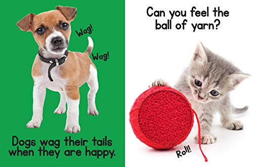 Puppies & Kitties - Touch and Feel Board Book - Sensory Board Book (Touch & Feel Sensory Board Books for Baby & Toddler Time)