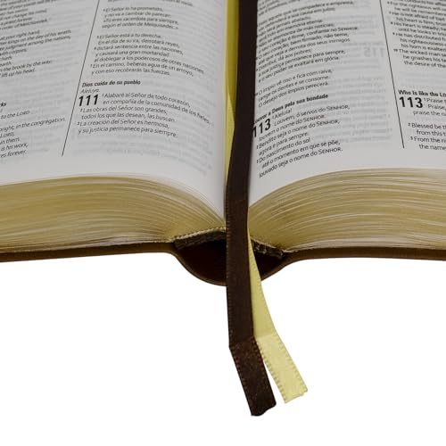 Biblia Trilíngue Portugus English Espaol NAA ESV RVC Marrón Símil Piel (English and Spanish Edition)
