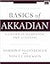 Basics of Akkadian: A Grammar, Workbook, and Glossary (Zondervan Language Basics Series)