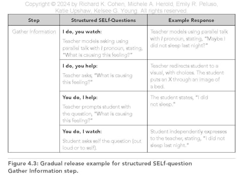The Metacognitive Preschooler: How to Teach Academic, Social, and Emotional Intelligence to Your Youngest Students (A singular, practical solution to teaching SEL and executive functioning skills)