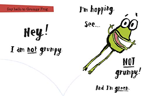 Grumpy Frog — back cover