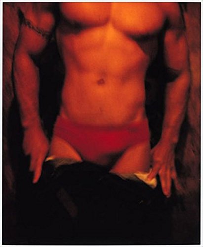 Snap : Photographs by David Sprigle — back cover