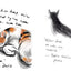 Puss in Books: Our best-loved writers on their best-loved cats
