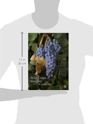 Wine Grape Varieties in California
