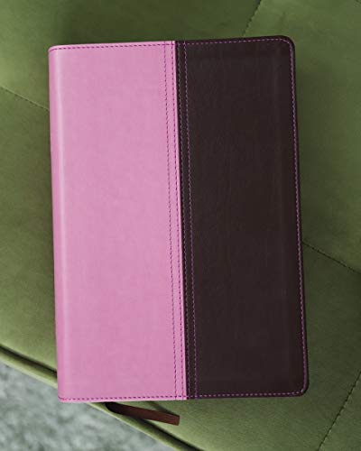 NIV, KJV, Parallel Bible, Large Print, Leathersoft, Pink/Brown: The World's Two Most Popular Bible Translations Together