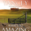 What's So Amazing About Grace? Study Guide: The Key to Transforming a Broken World