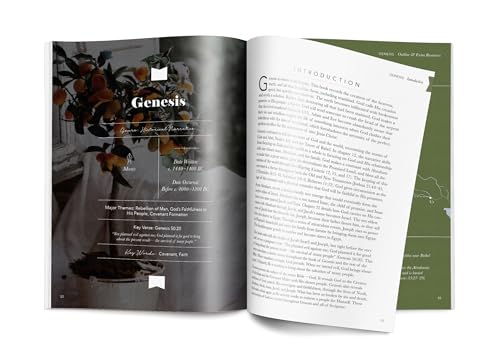 The Bible Handbook: A Book-by-Book Guide to the Entire Bible