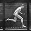 The Human Figure in Motion