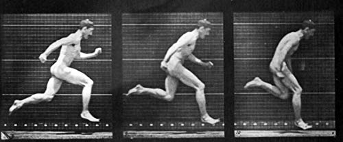 The Human Figure in Motion
