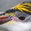Southern Light: Images from Antarctica