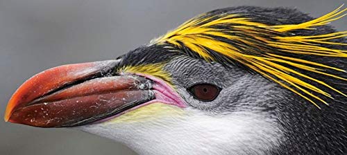 Southern Light: Images from Antarctica