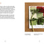 Color In and Out of the Garden: Watercolor Practices for Painters, Gardeners, and Nature Lovers