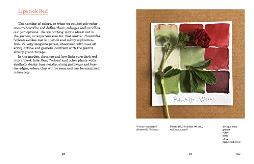 Color In and Out of the Garden: Watercolor Practices for Painters, Gardeners, and Nature Lovers